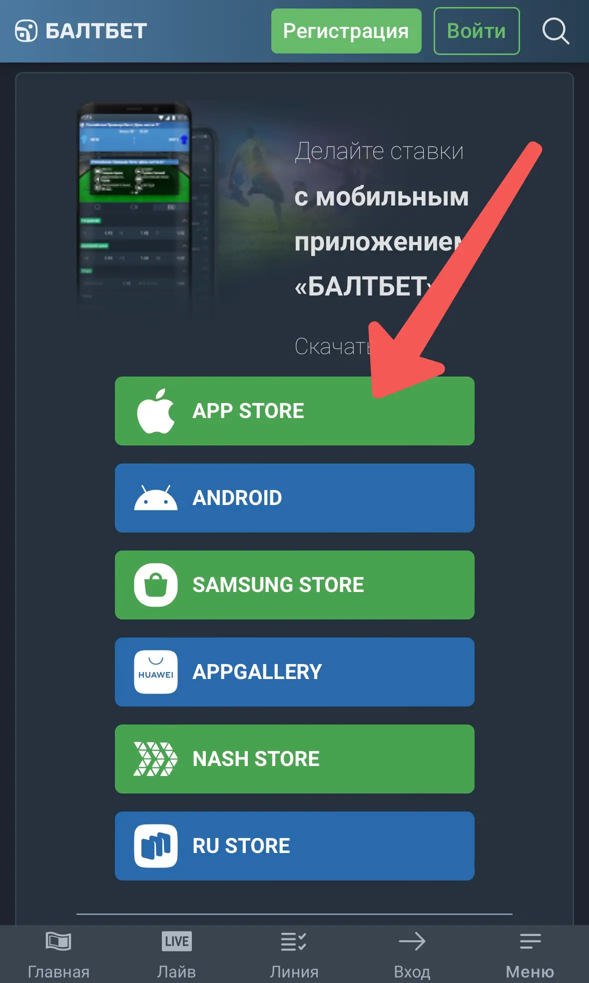 App Store