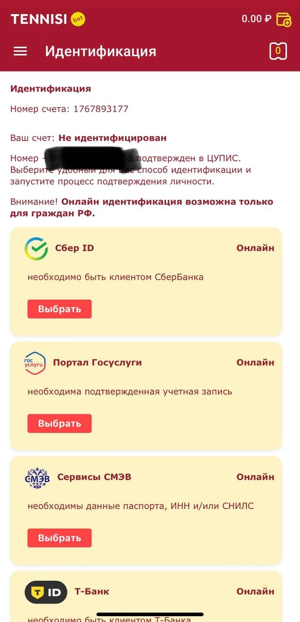 Поле загрузки фото паспорта в Tennisi