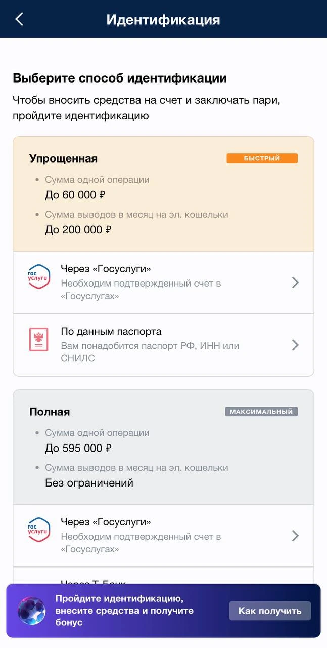 Раздел идентификации Marathon на iPhone