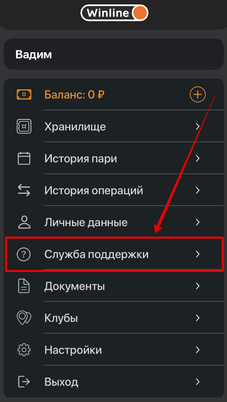 лайв-чат Винлайн в приложении